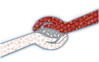 Immunsymbiose Hände